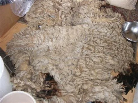 washing fleece.jpg