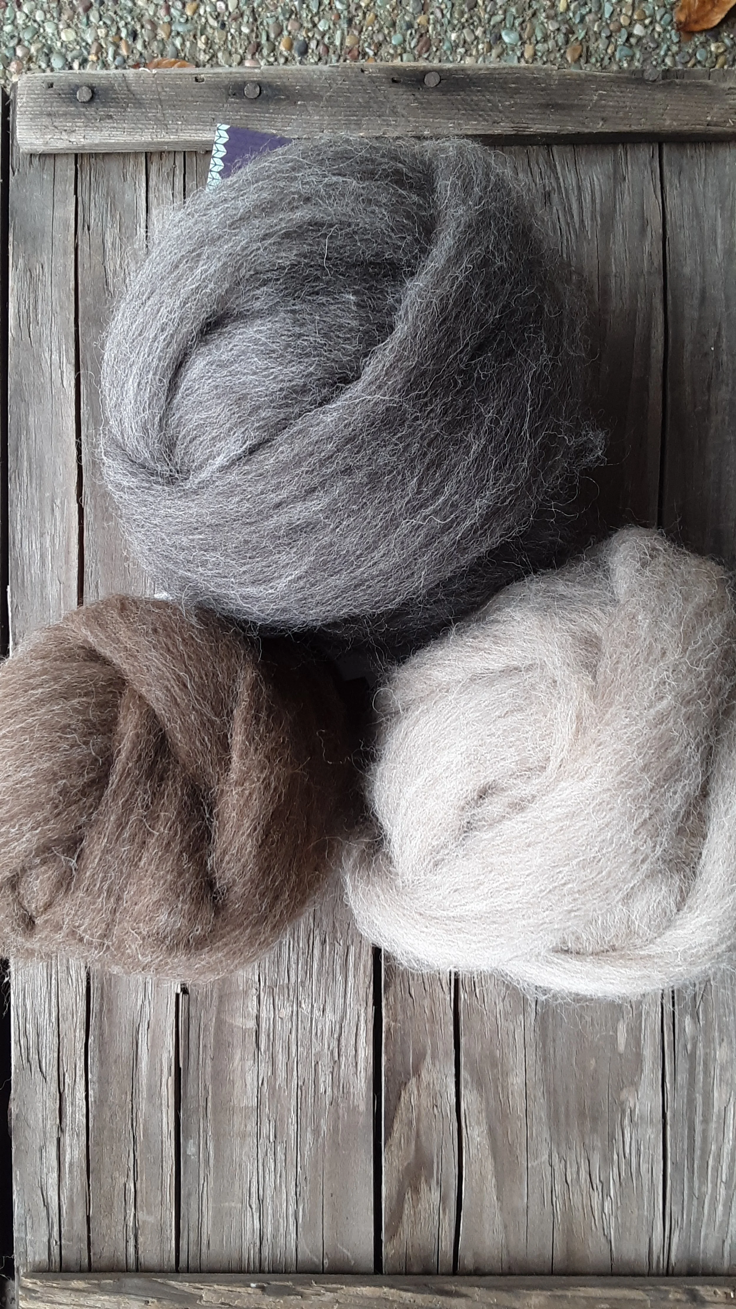 Shetland roving.jpg