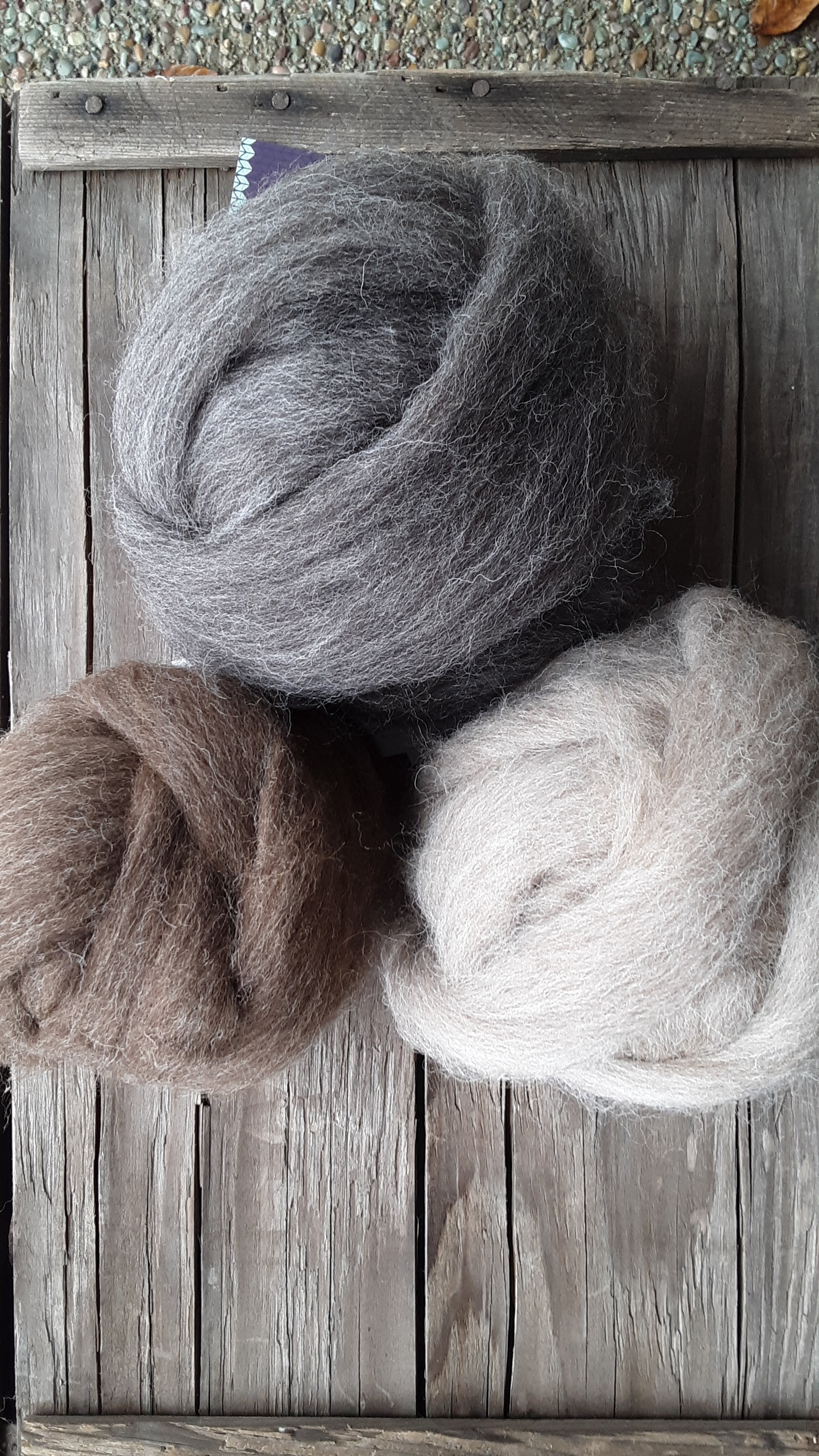 Shetland roving.jpg