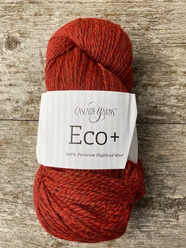 Eco + 9654 campfire.jpg