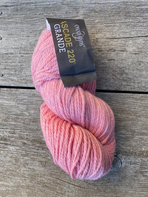 Cascade yarns 220 Grande #9590 .jpeg