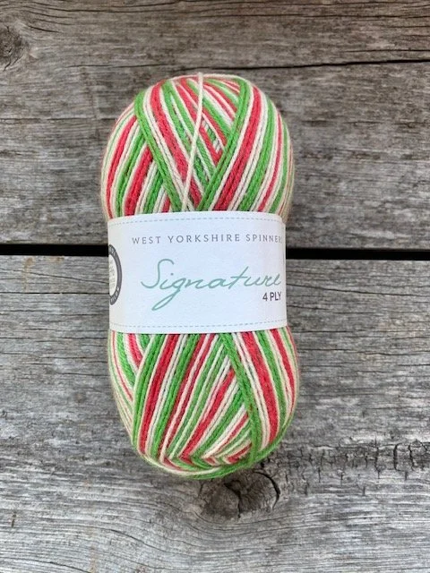 WYS Signature 4 ply sock yarn 06 candy cane.jpg