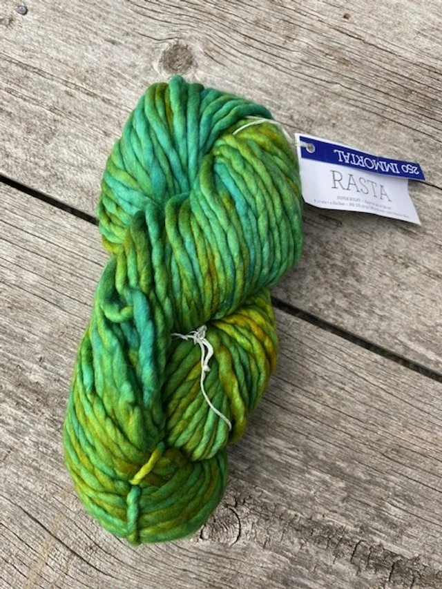 Malabrigo Rasta #250 immortal.jpg