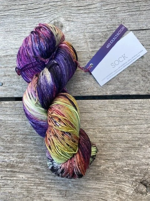 Malabrigo Sock #463 Exaltacion.jpeg