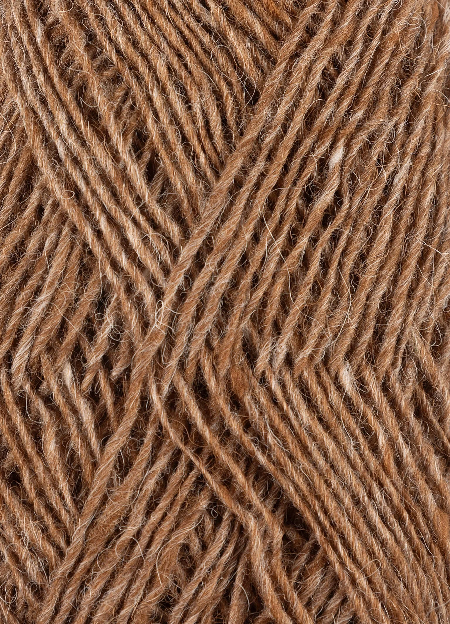 Fjallaopi moorit 3002-3.jpg