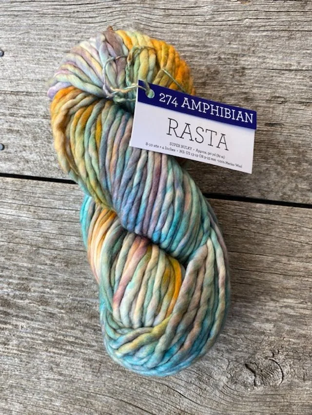 Malabrigo Rasta #274 Amphibian.jpg