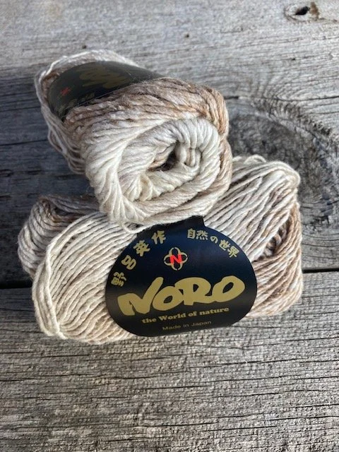 Noro Silk Garden #269.jpeg