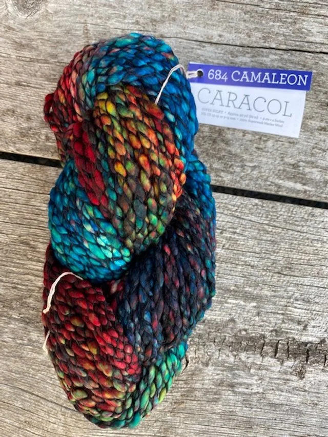 Malabrigo Caracol #684 Camaleon.jpg