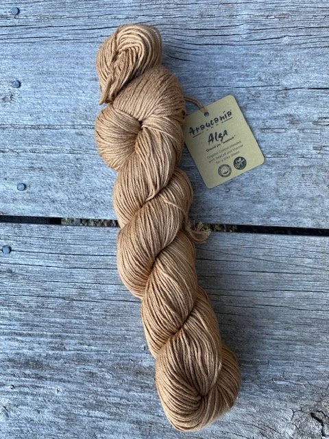 Araucania Alga #13 Woodland.jpeg