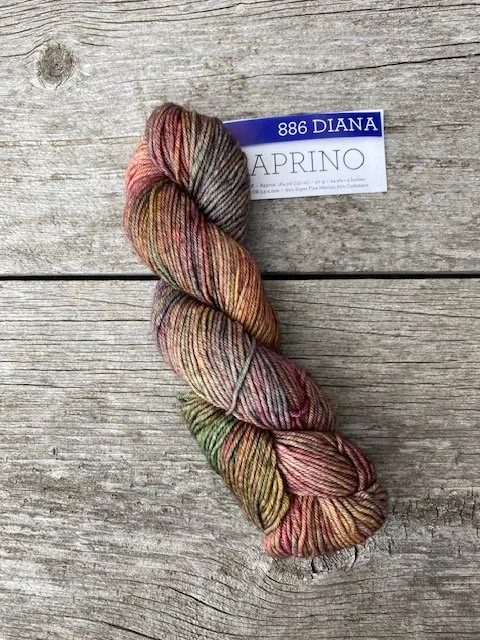 Malabrigo caprino #886 Diana.jpeg