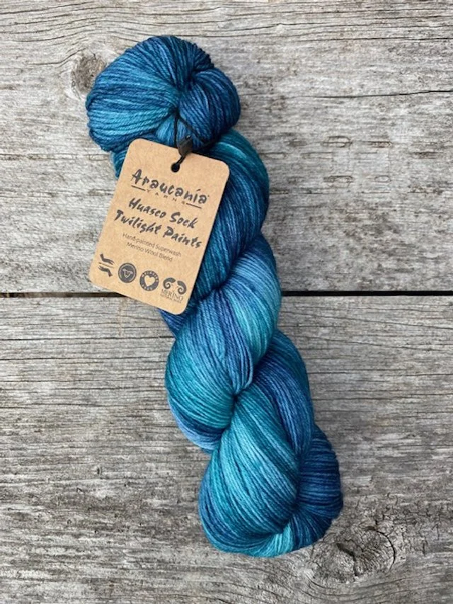 Araucania Huasco Sock Twilight Paints - #5004 Spring Azure.jpg
