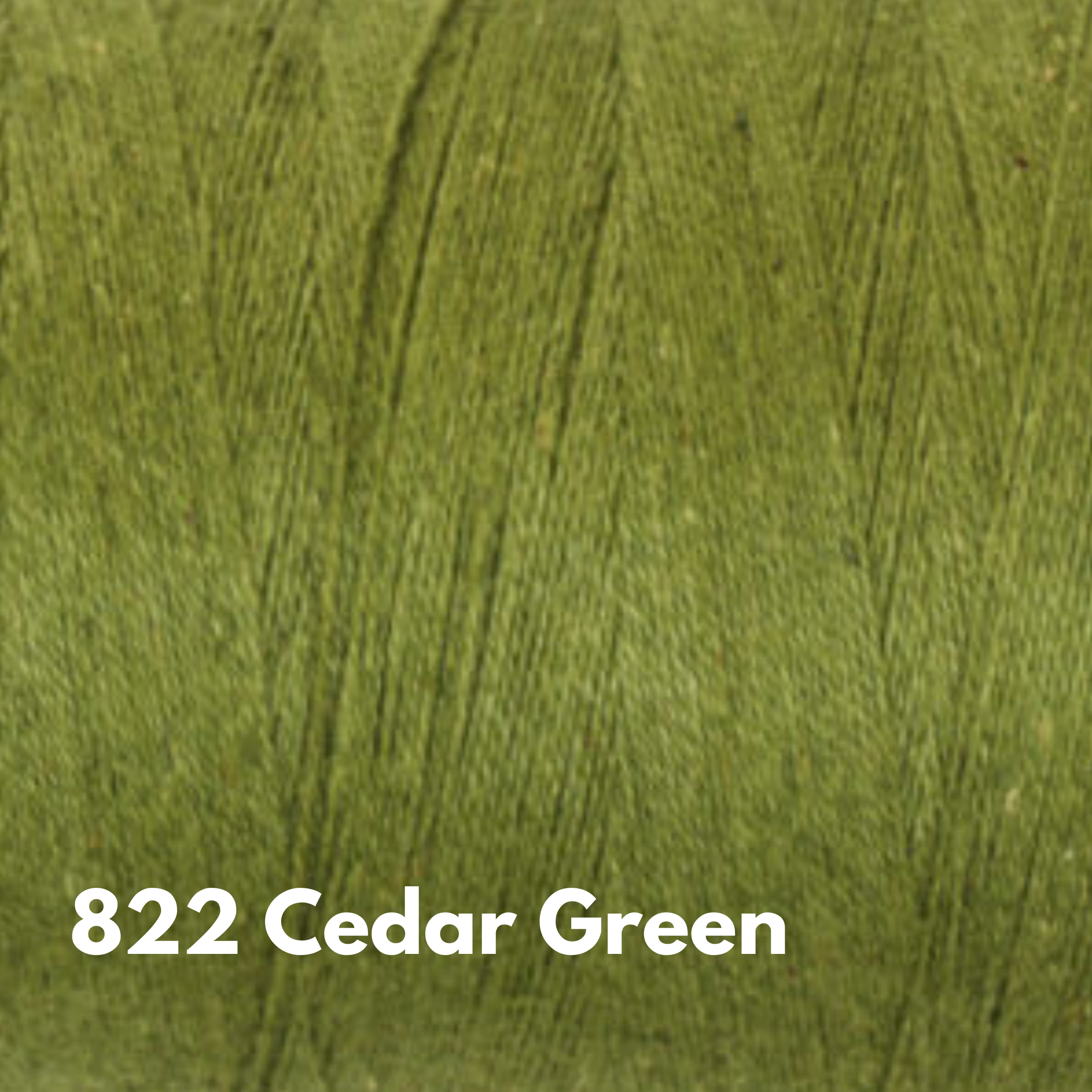 Ashford Cottolin 8:2 yarn 822 Cedar Green .png