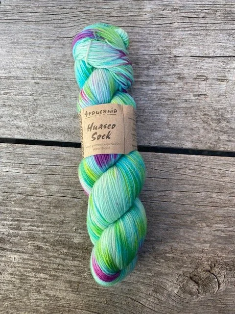 Araucania Huasco Sock yarn #1066 Dance with Me.jpeg