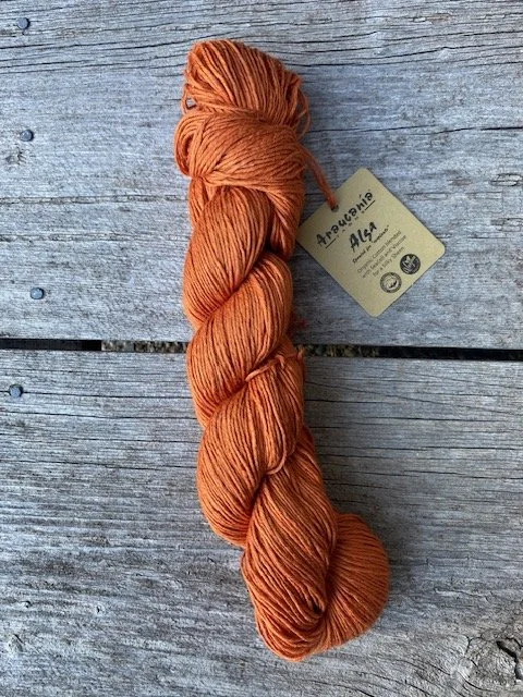 Araucania Alga #11 sunbeam .jpeg