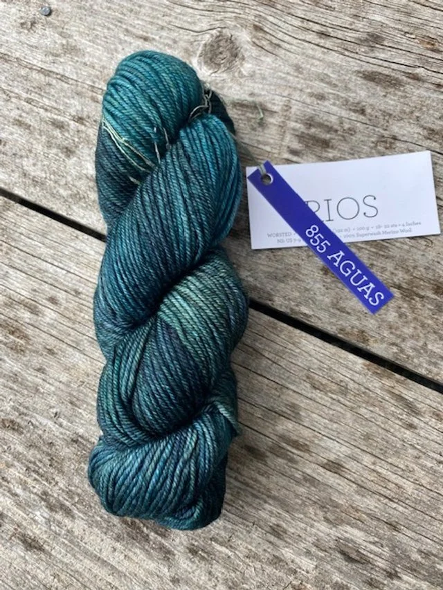 Malabrigo Rios #855 Aguas.jpg