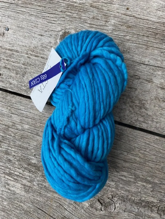Malabrigo Rasta #683 Cian.jpg