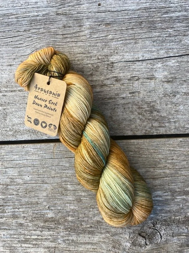 Araucania Huasco Sock Dawn Paints #6001 Tuscan Sunrise.jpg