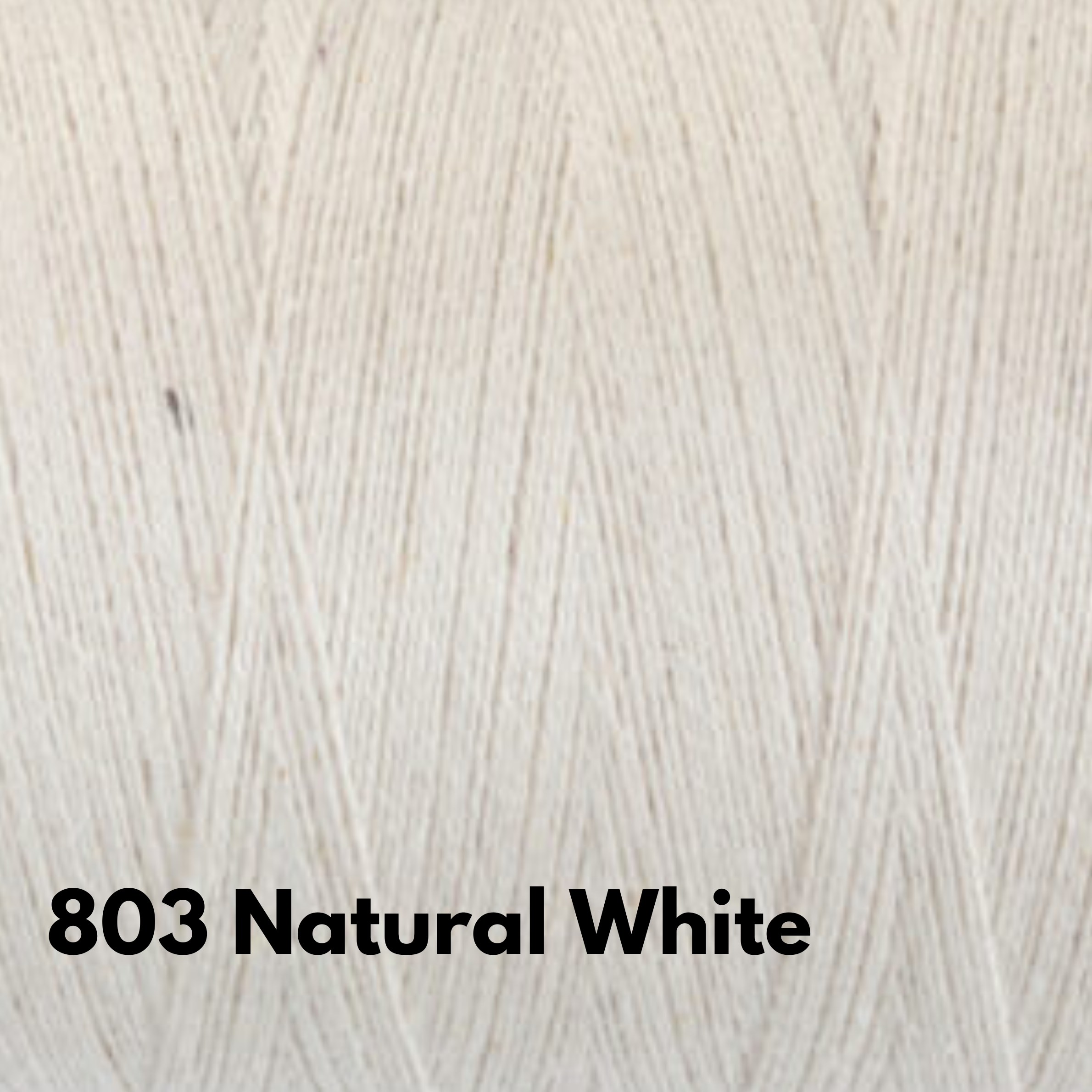 Ashford Cottolin 8:2 yarn #803 Natural white.png