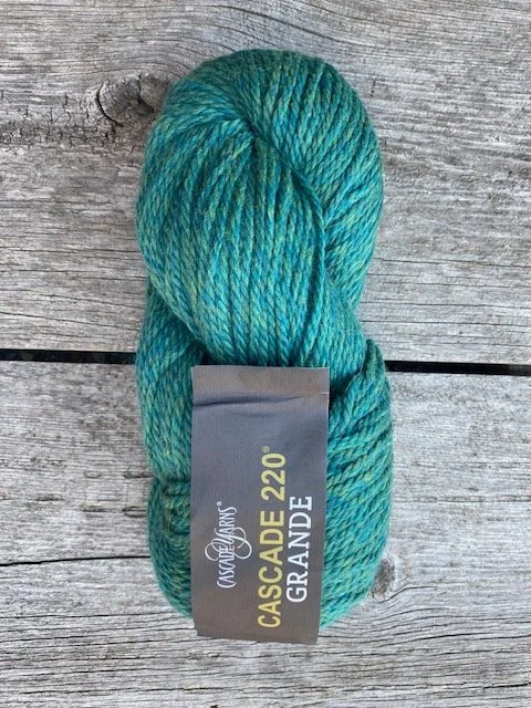 Cascade Yarns Cascade 220 Grande #9451 Lake Chelan.jpeg