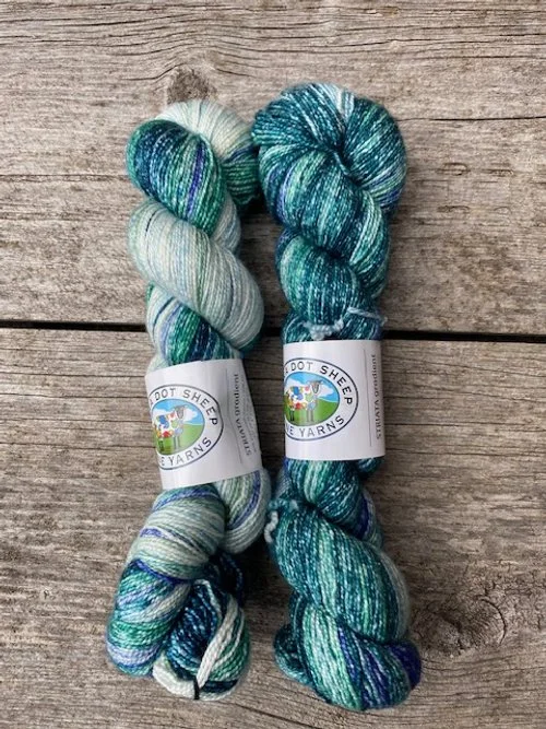 Switchback shawl kit Colorway Waterton.jpg