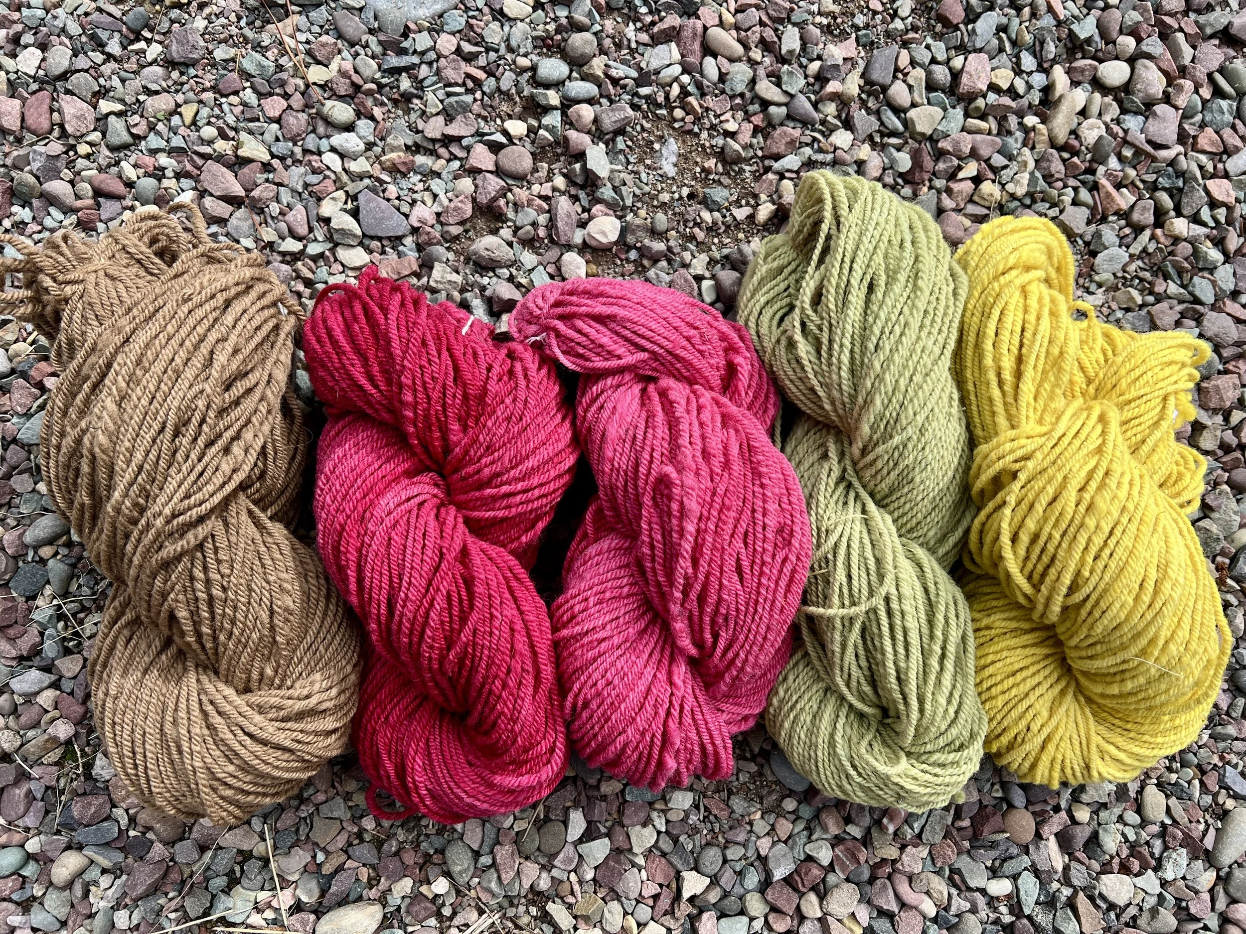 plant dye class photo.jpeg