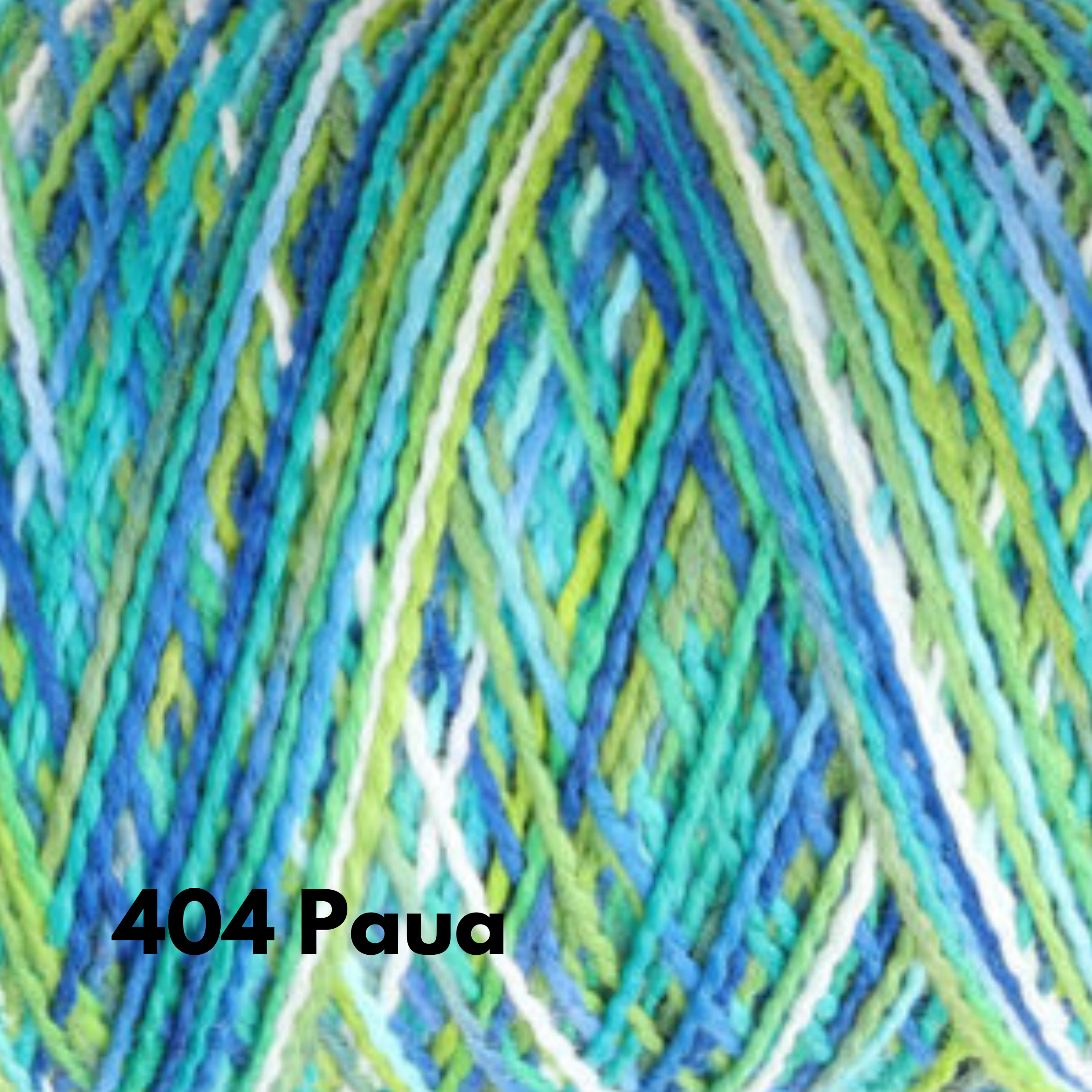 404 Paua.png