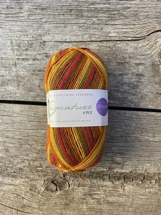 West Yorkshire Spinners Signature 4 ply #885 Autumn leaves.jpg