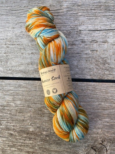 Araucania Huasco Sock #1060 Rusty Sky.jpeg