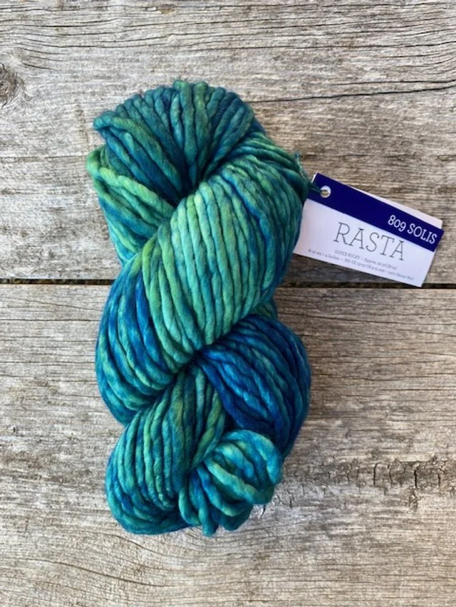 Malabrigo - Rasta - #809 Solis