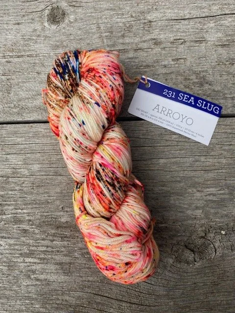 Malabrigo Arroyo #231 Sea Slug.jpeg
