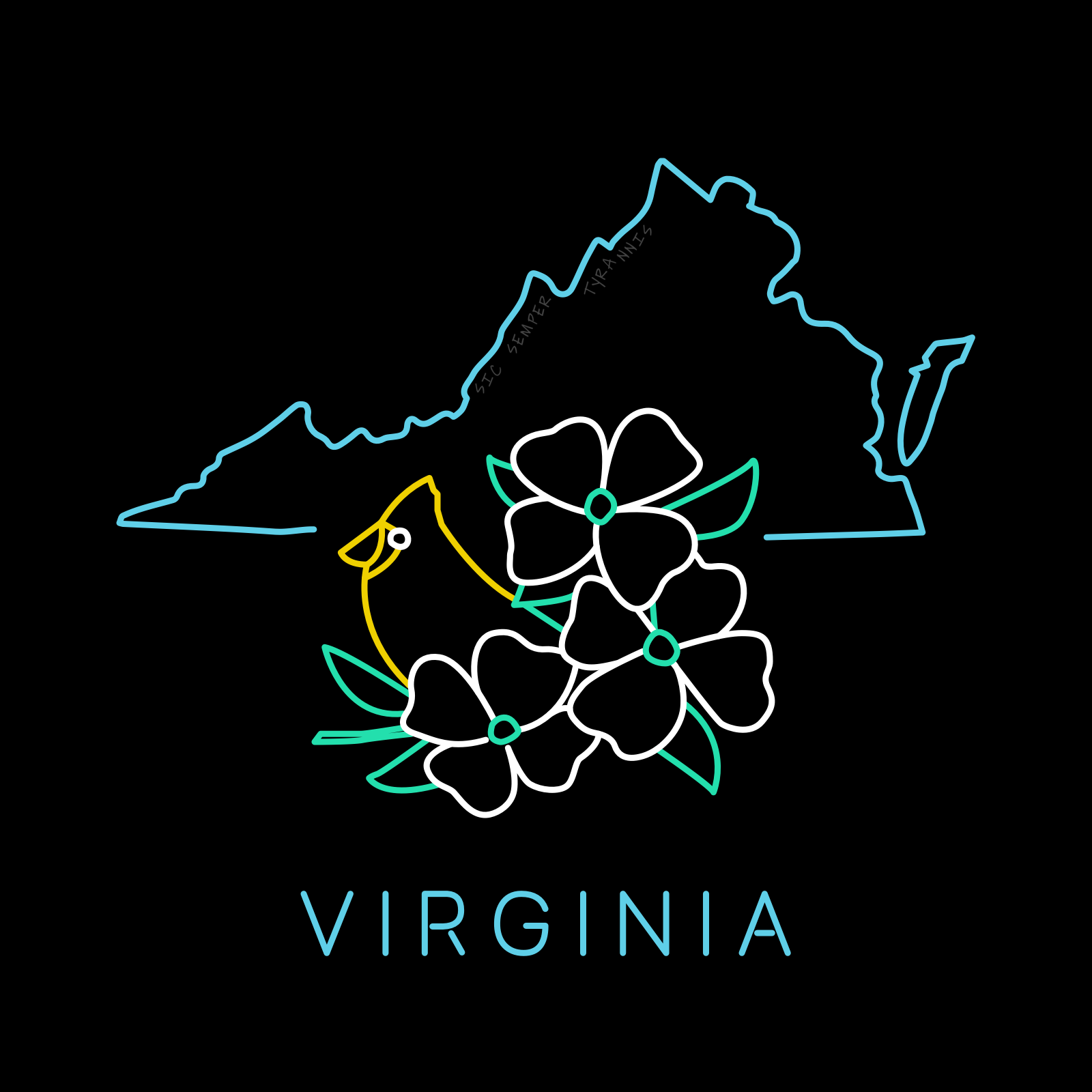 VA - Social - 1.png