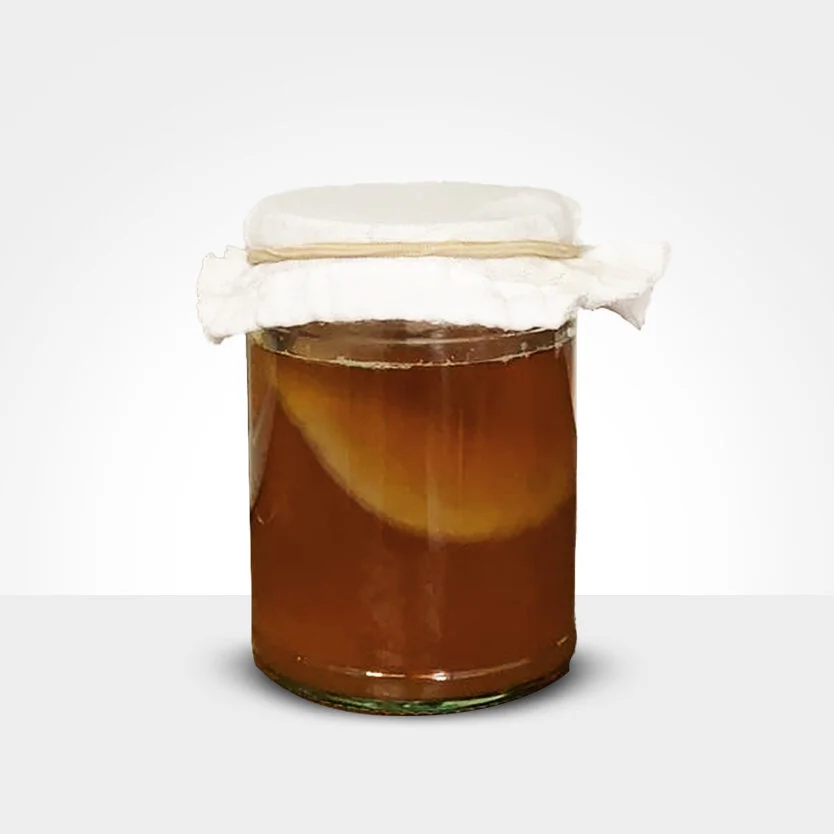 Kombucha Live Culture