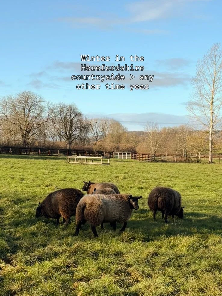 We are just so lucky to live in such a gorgeous part of the Herefordshire countryside - our little pocket of calm on the farm away from the chaos ❄️

We are taking stock in our beautiful surroundings before the pace increases, but always feeling so g