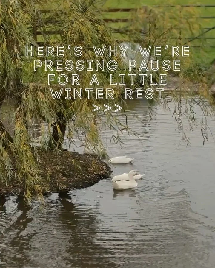 We&rsquo;re signing off for the festive break 🎄

As a small, independent business, we believe rest is just as important as work - it&rsquo;s what keeps our creativity, care, and positive energy flowing.

Thank you for being with us this year - every