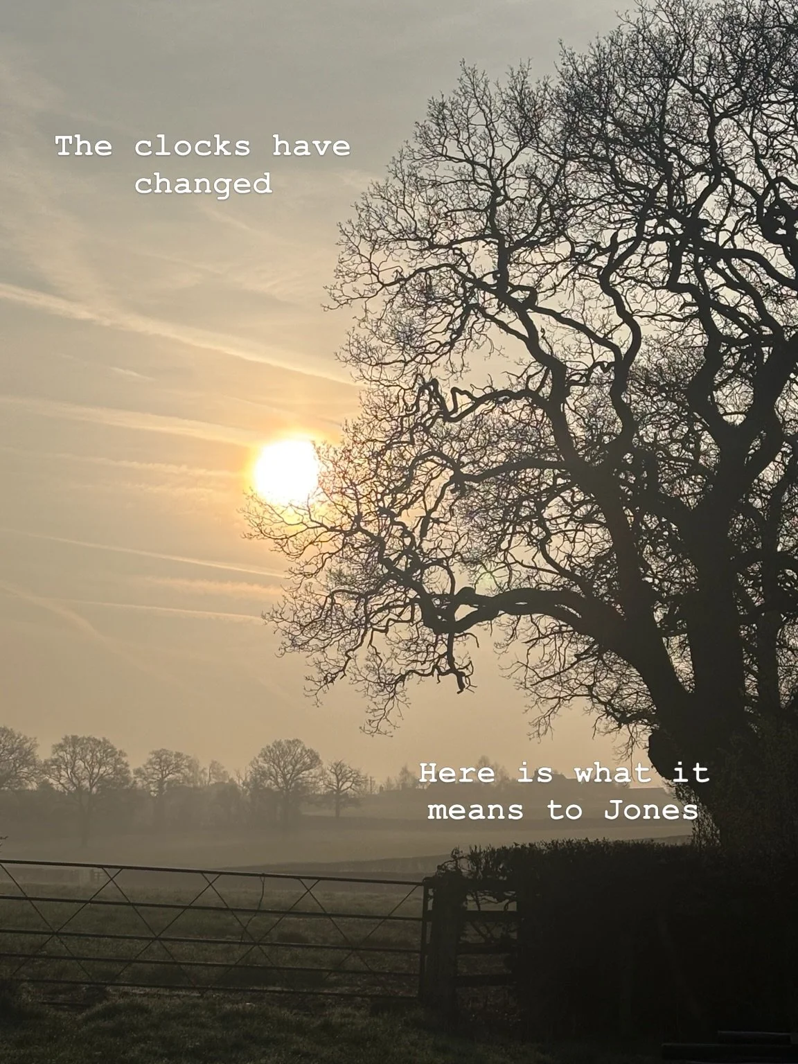 The clocks changing doesn&rsquo;t just affect your sleep&hellip;

It affects us too.

Warmer kitchens.
Longer days.
Ferments moving a little differently.

That&rsquo;s the thing with fermentation &mdash; it&rsquo;s alive.
It responds to its environme