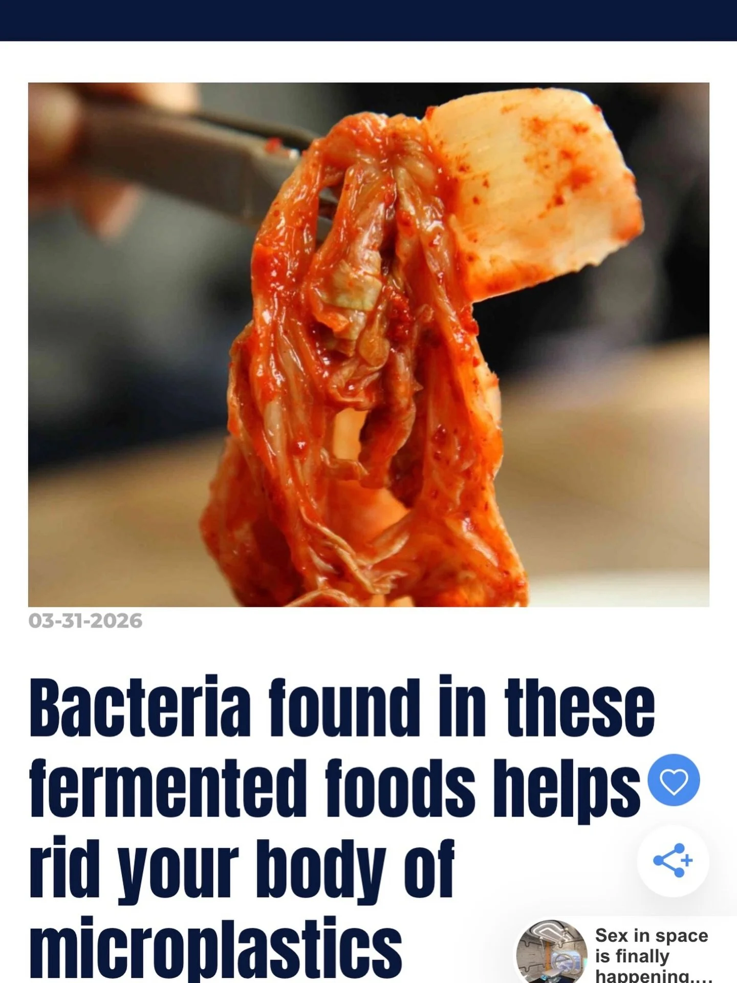 Worried about microplastics? 
Another essential reason kimchi should be a daily addition to your diet. 

Head over to earth.com@or the link in bio to read the full article 🥬 🌶️ 

#kimchi #microplastics #diet #staple health