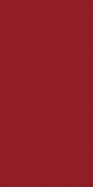 BIM_Q4 Ad_National_Display_300x600.gif