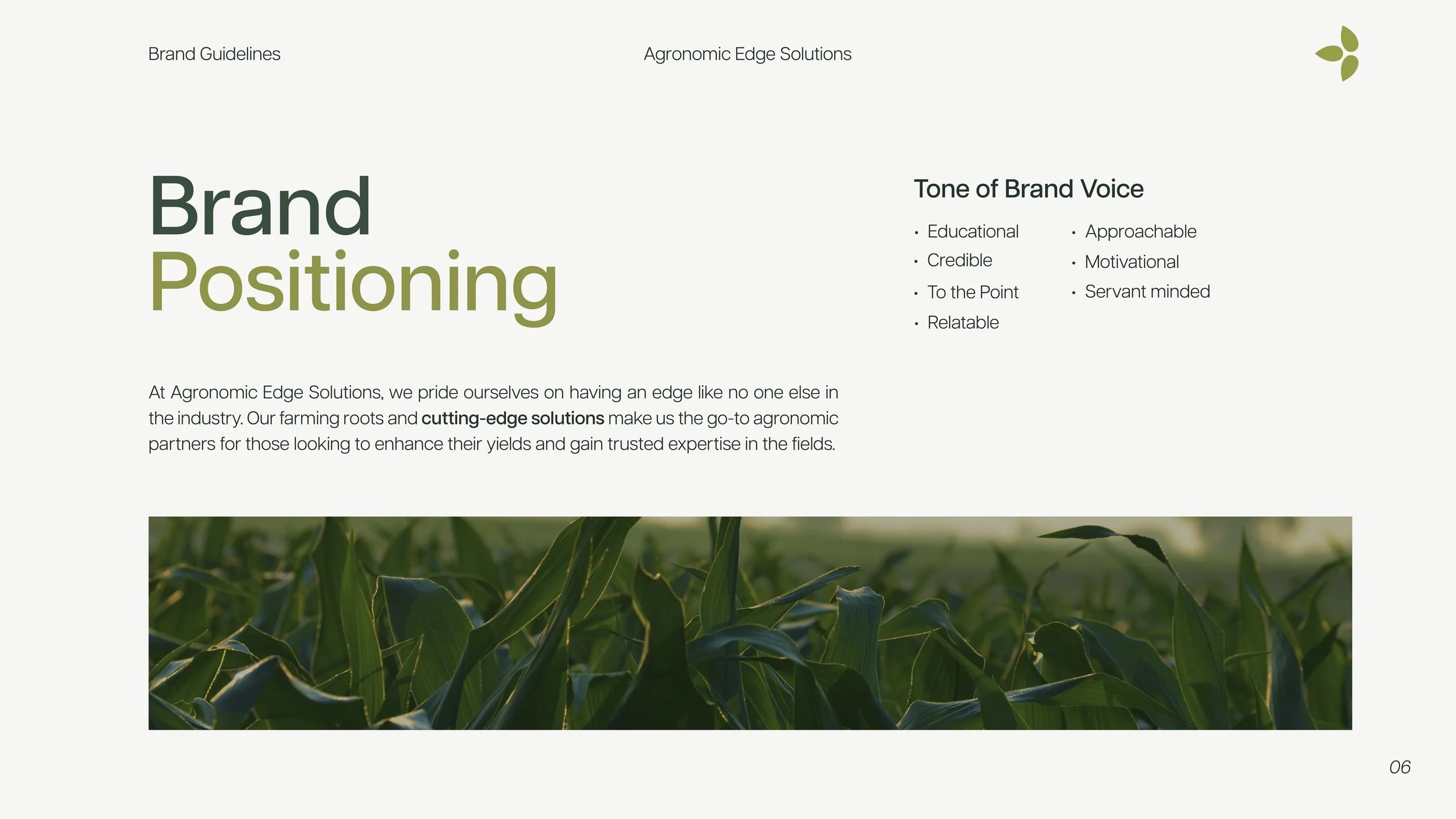Agronomic Edge Solutions - Brand Style Guide2.jpg