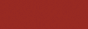 BIM_Q4 Ad_National_Display_300x100.gif