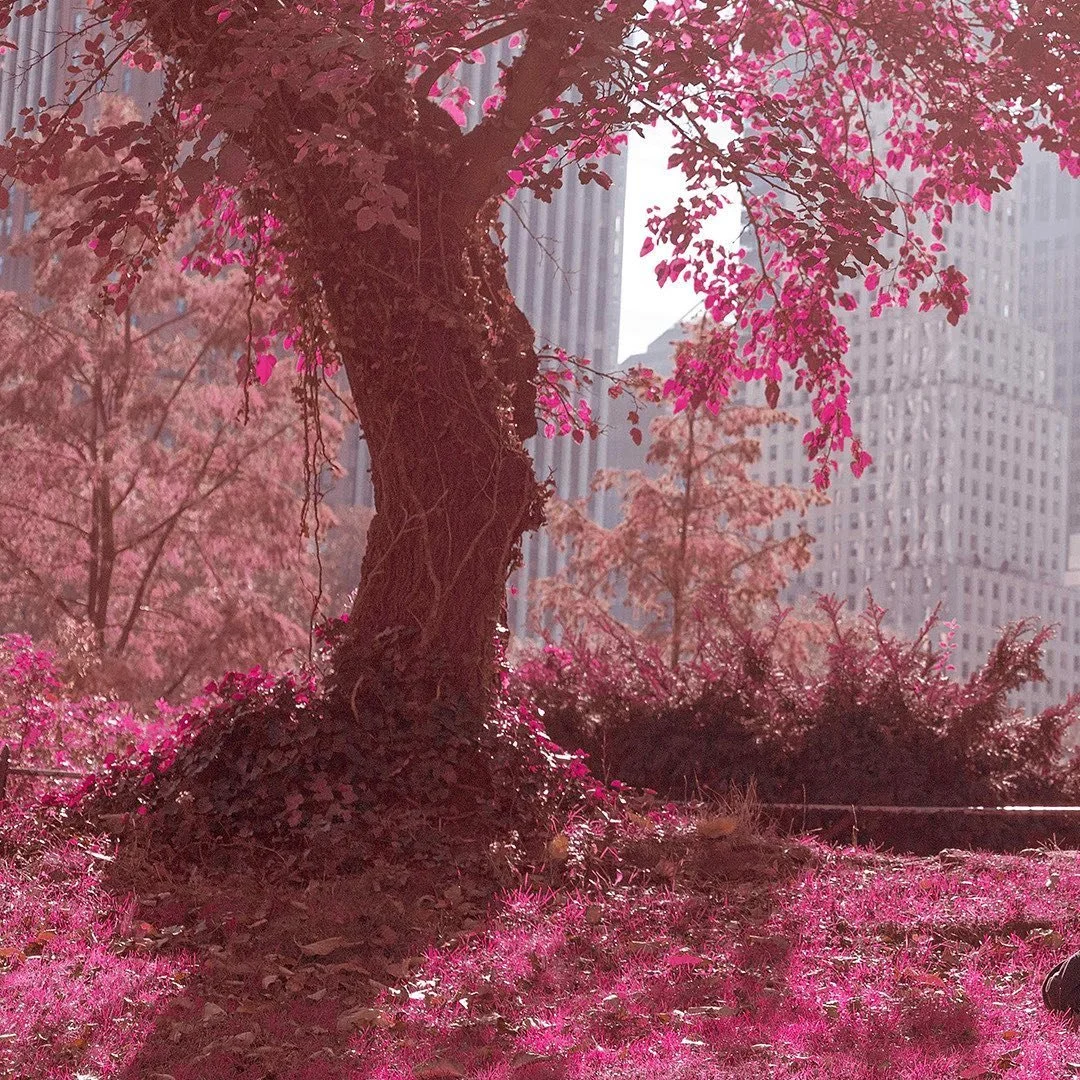 One of my favorite projects of 2020 is a short film I produced titled &lsquo;Clover&rsquo;, written and directed by @jonjondrozario. Even though the world had a virus at its doorstep and we were arrested by the political insanity of an upcoming elect