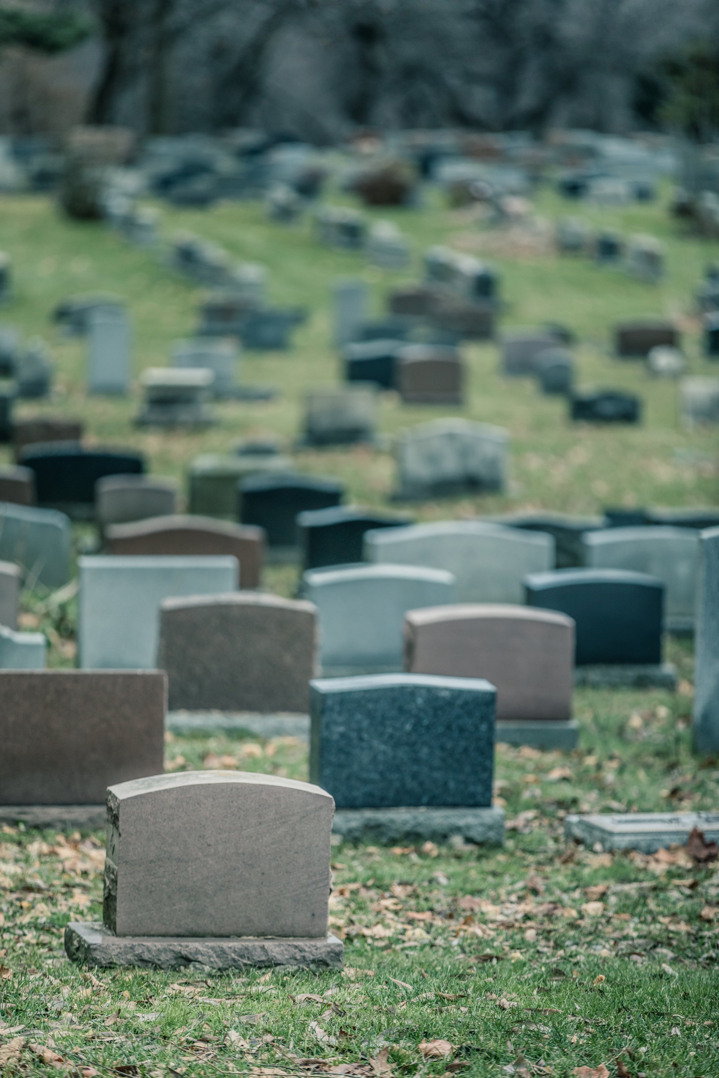 back-of-gravestones-in-a-old-cemetery-in-autumn-2026-01-05-01-10-11-utc.jpg
