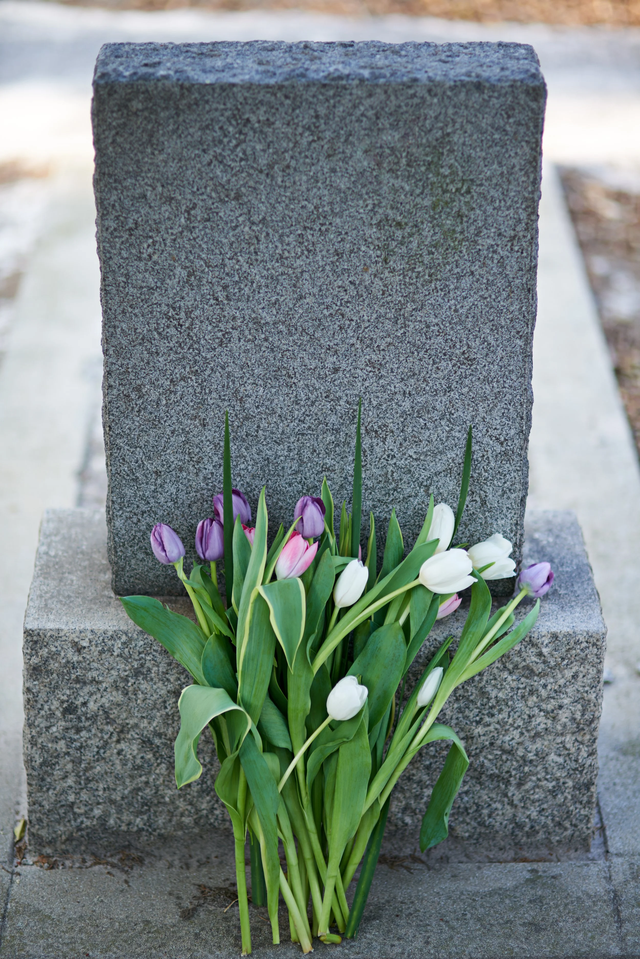 flowers-for-the-dearly-departed-shot-of-a-gravest-2026-03-25-06-32-08-utc.jpg