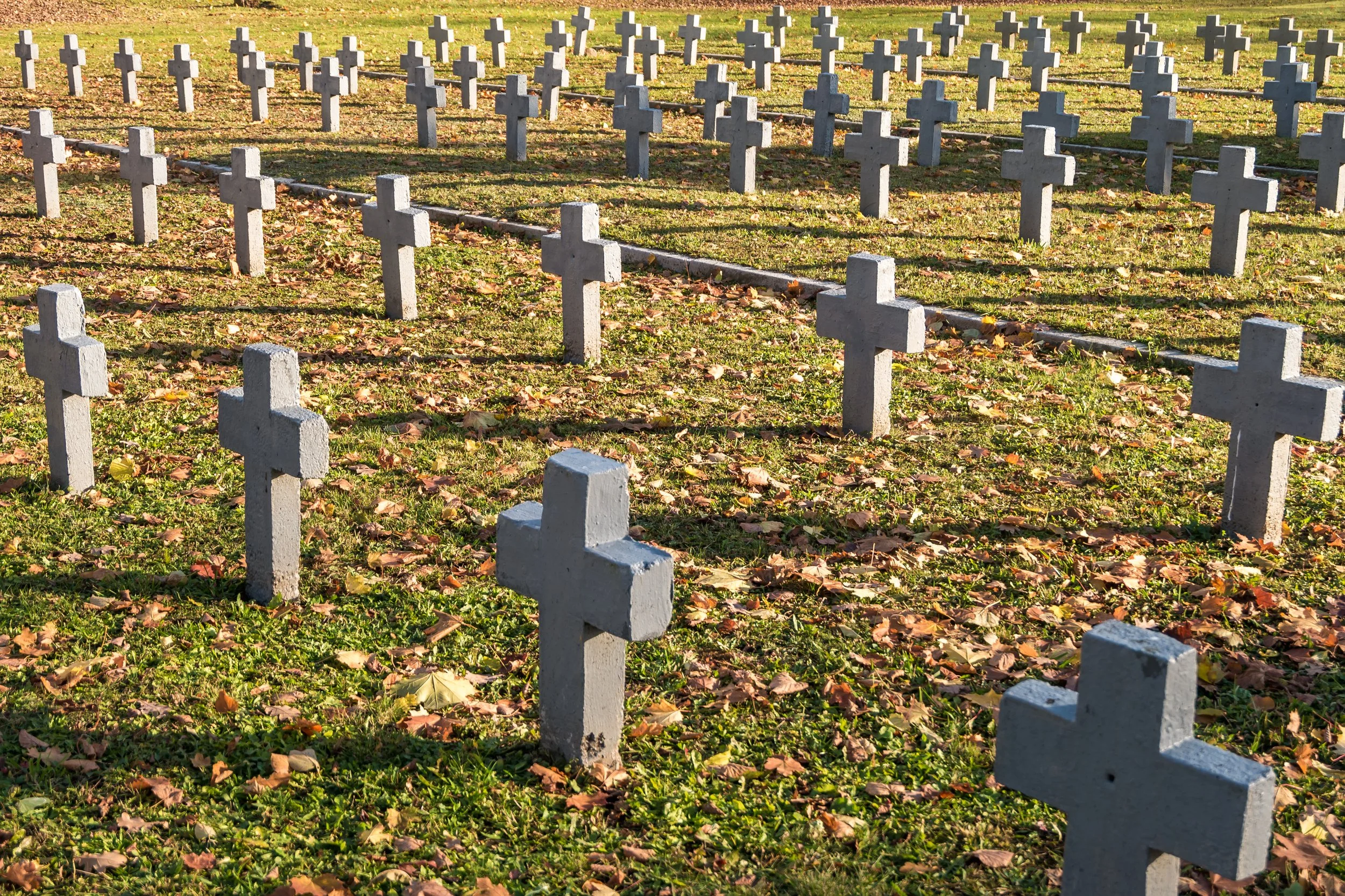 many-identical-gray-crosses-in-polish-military-cem-2026-03-23-23-01-14-utc.jpg