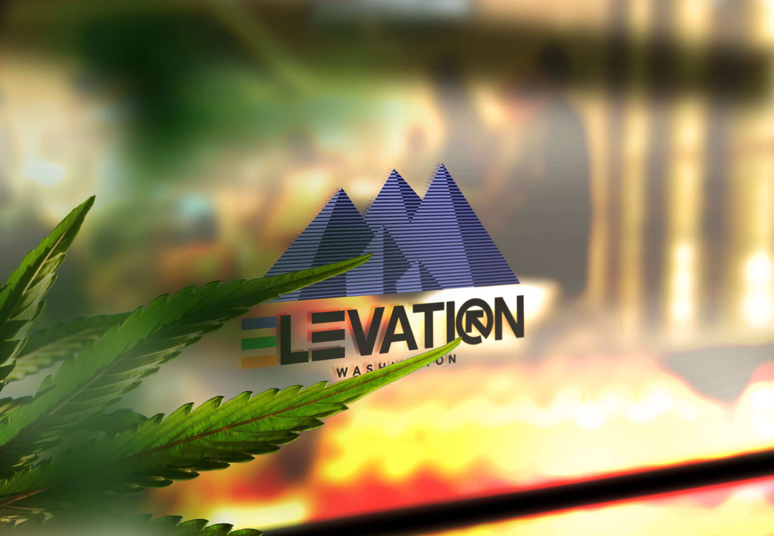 elevation-window.jpg