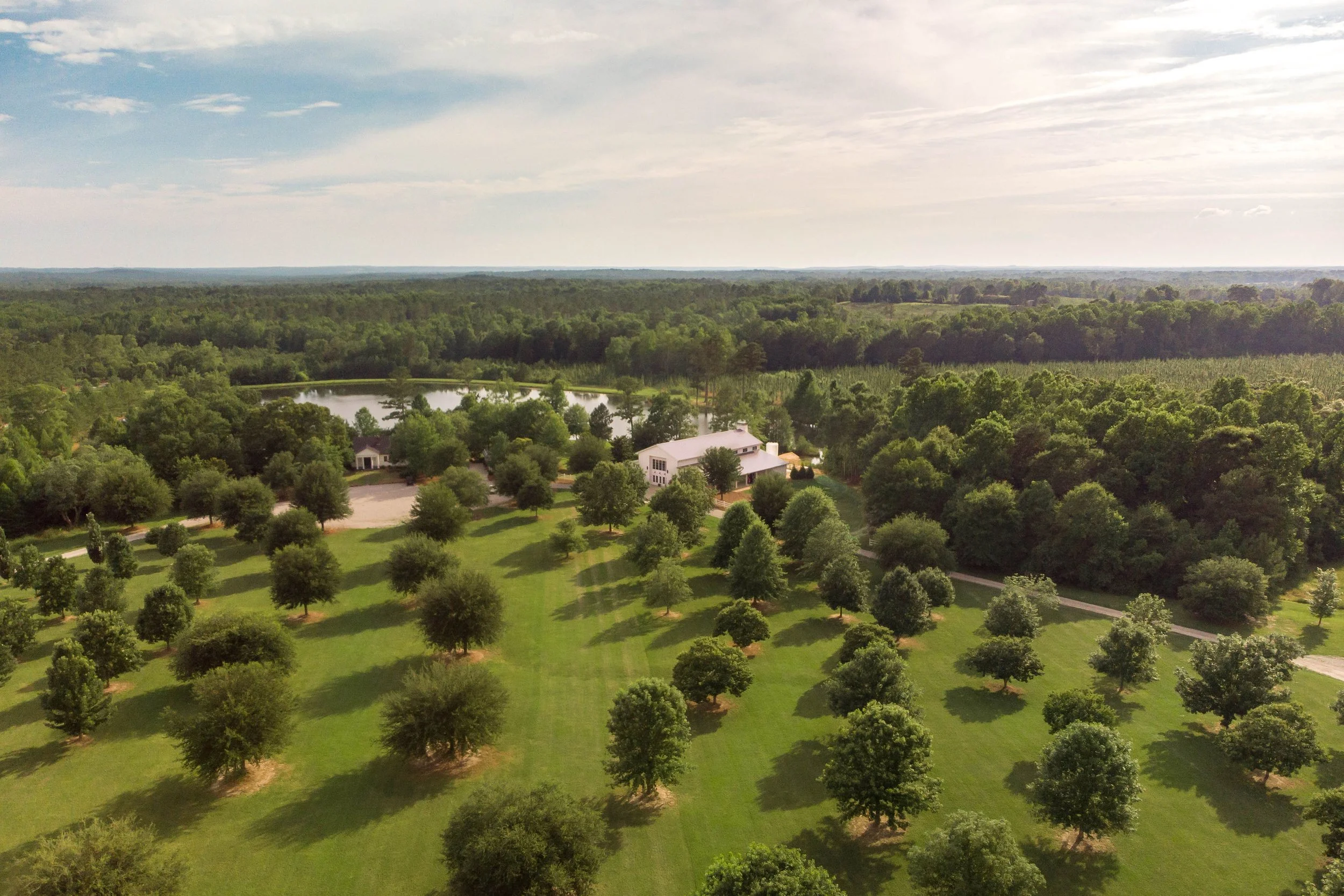 auburn oaks drone photo.jpg
