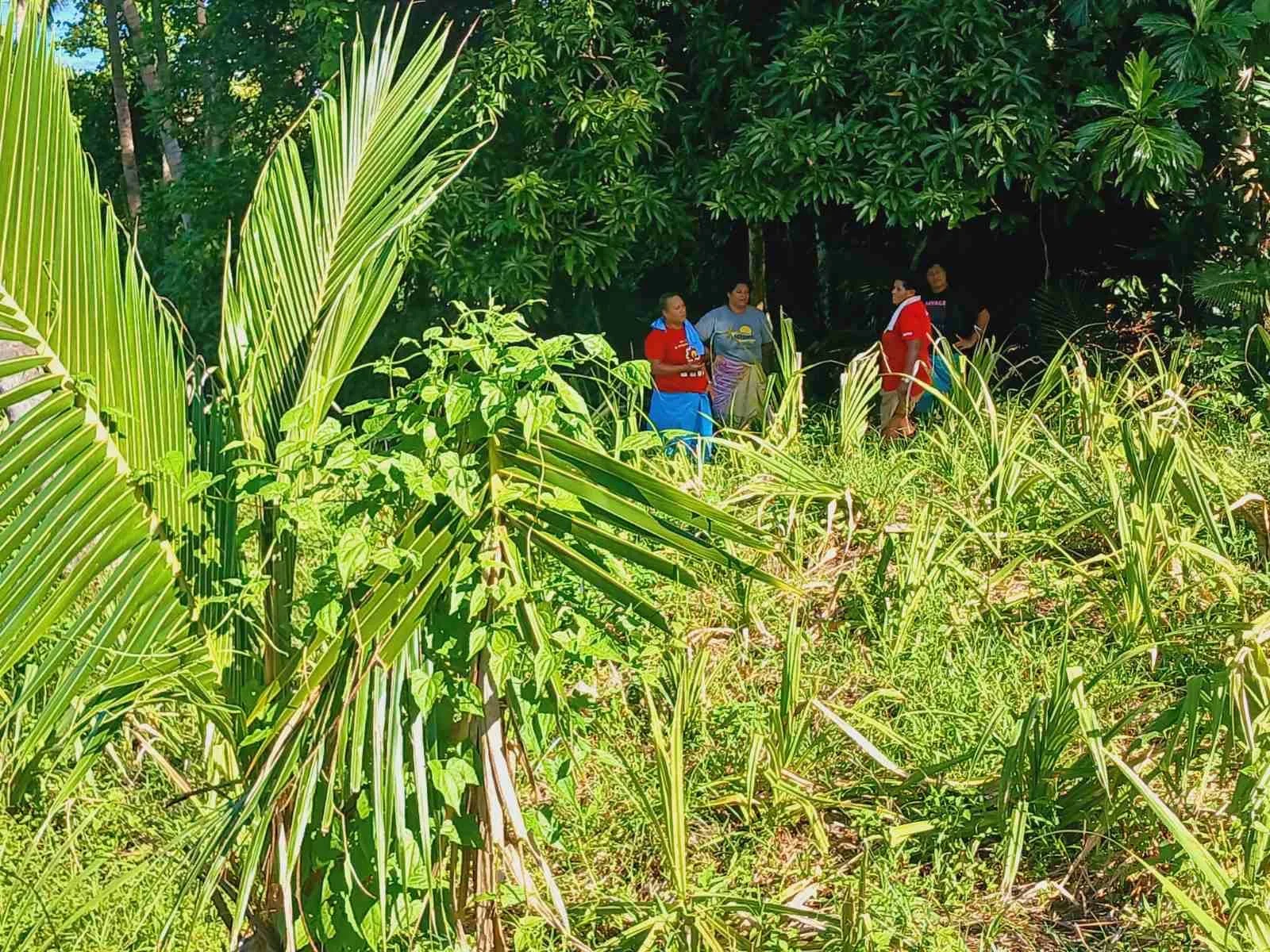 Women Work Towards Resilience in Communities - 2024