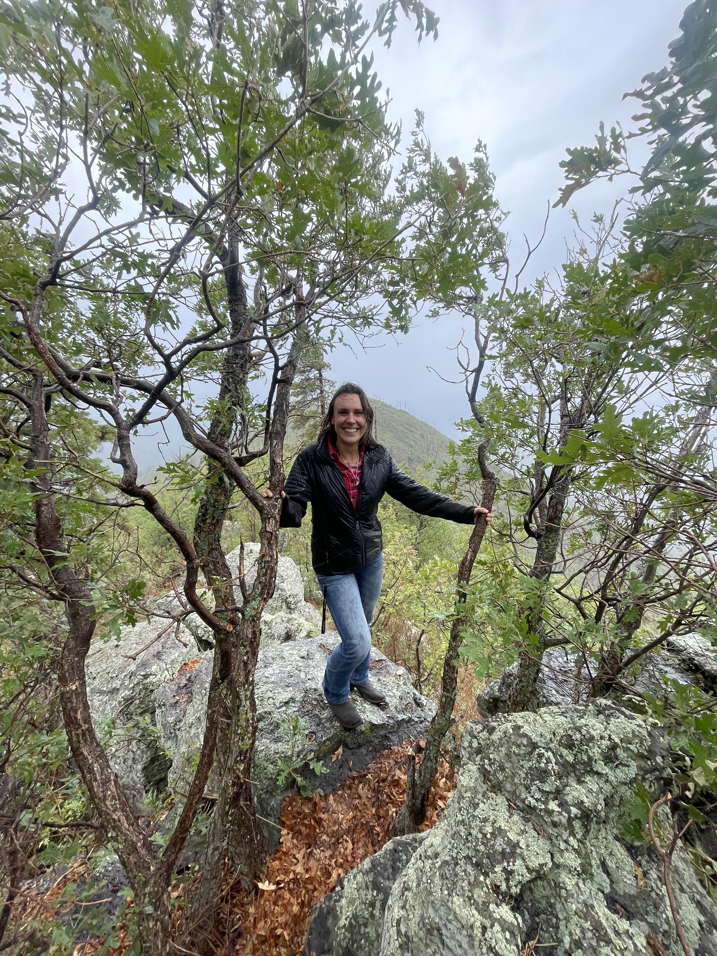 A woman standing on a large rock in a forested area after foraging for healing herbs and herbal remedies, surrounded by trees with green leaves, during a cloudy day.