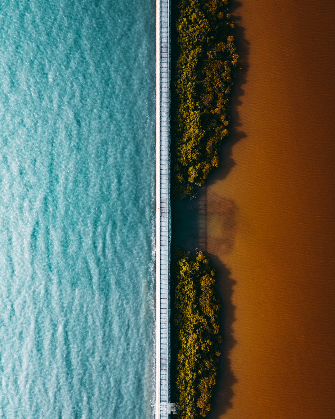 Hong Kong-62.jpg