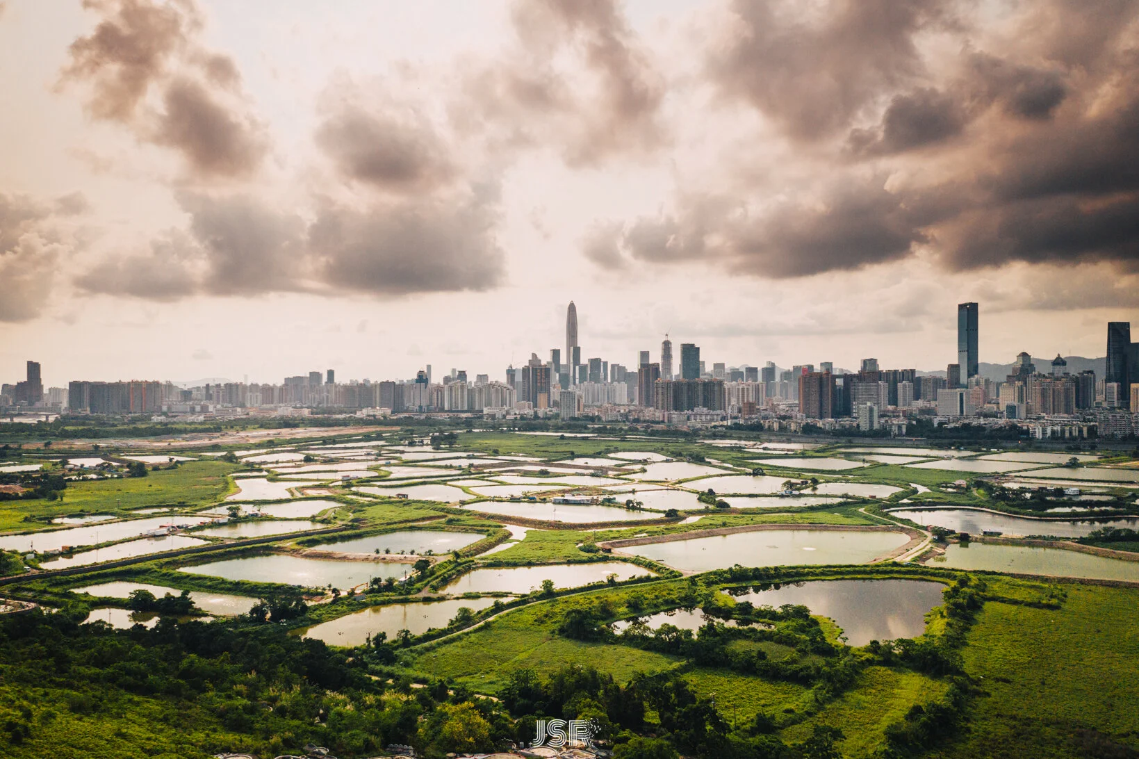 DJI_0229.jpg
