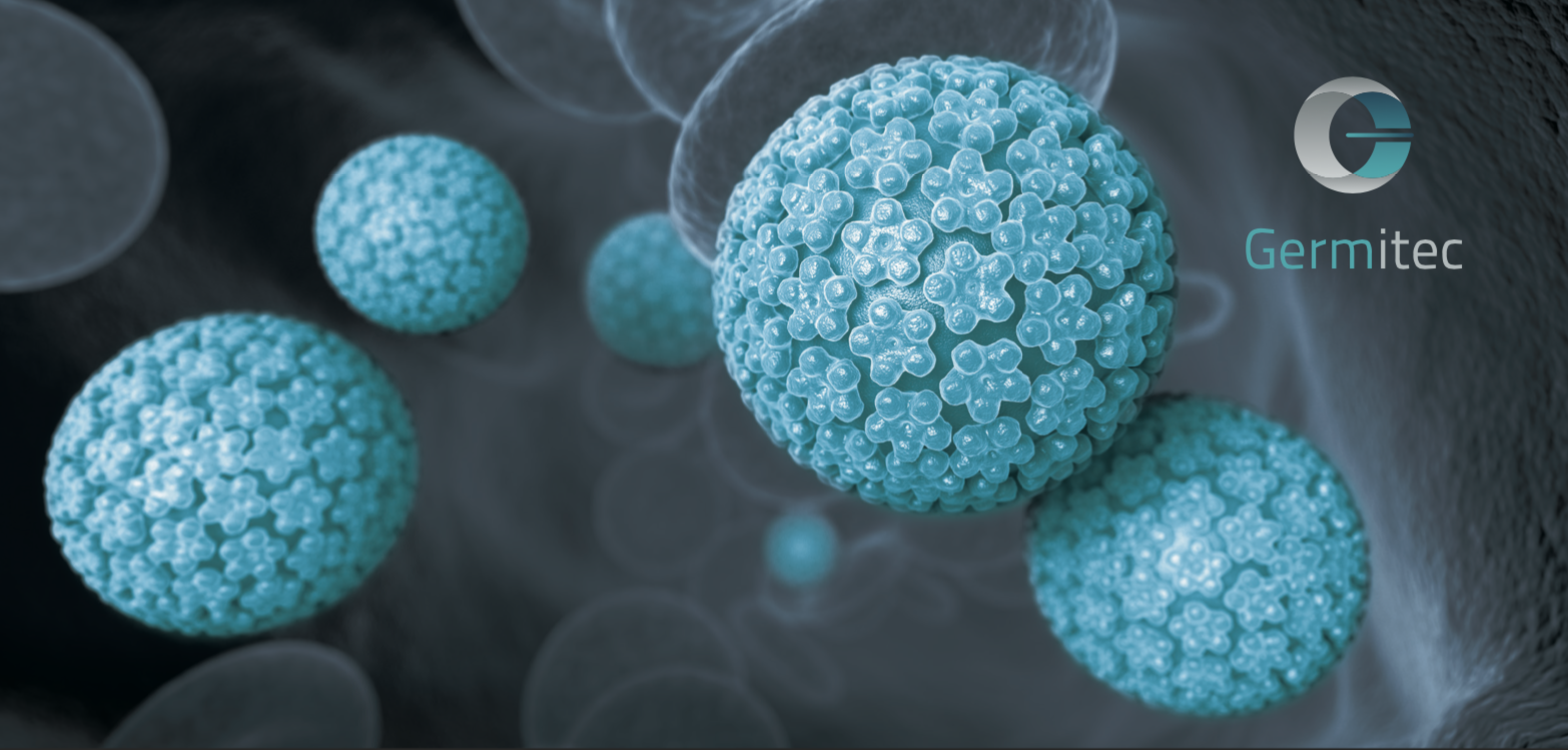 Screen Shot 2019-12-10 at 11.47.10 am.png